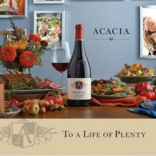 Acacia "To a Life of Plenty" 12"x18" Mini Case Card
