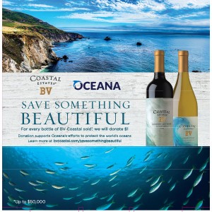 
        
        BV Coastal Estates Oceana 12"x18" Mini Case Card        
      