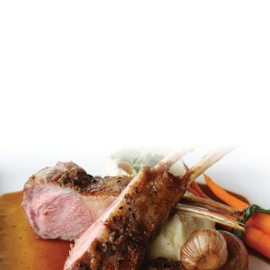 
        
        Lamb Tie-In        
      