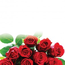 Flower (Rose) Tie-In