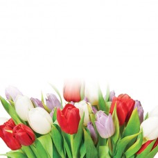 Flower (Tulip) Tie-In