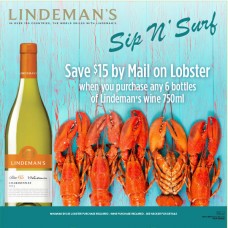 Lindeman's F18 Sip N' Surf Mini Case Card 12x18, Offer valid 08/09/17 to 10/13/17